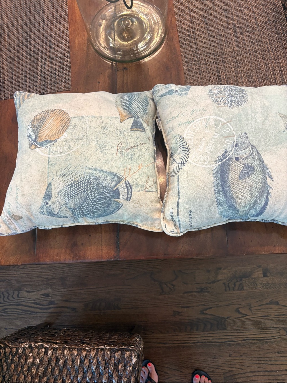 Pier 1 Coastal Fish Accent Pillow Pair in Light Blue and Cream
